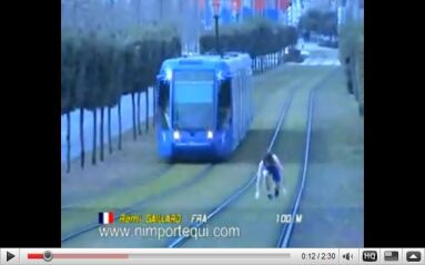 REMI GAILLARD (2)