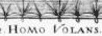 Homo Volans